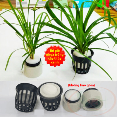 Rổ giỏ nhựa trồng cây thủy canh cốc ươm cây thủy sinh bể cá tép