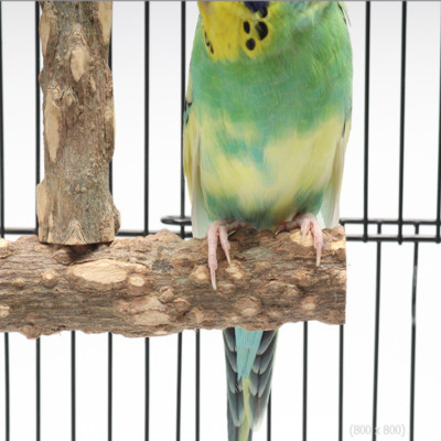 1 CÁI CẦU ĐẬU GỖ GẠO (TREO TRONG LỒNG) CHO CHIM, VẸT ĐỨNG