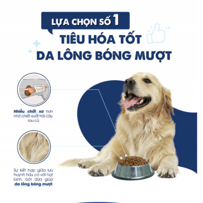 [1KG ] - Thức ăn hạt cho chó thơm ngon, bổ dưỡng TODAY