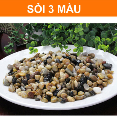 Sỏi Suối 3 Màu (1.2KG, size to ) - Trang Trí Bể Cá, Thủy Sinh, Tiểu Cảnh, Lọc Nước Hiệu Quả 