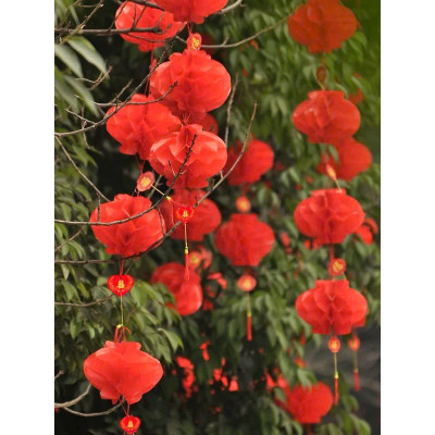 Combo 10 Lồng Đèn Đỏ Trang Trí Tết Bằng Nilon Chống Nước Mẫu Đèn Tổ Ong - Hàng Chính Hãng MINIIN