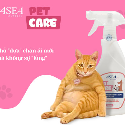 [Combo 2 chai] Nước Xịt Khử Mùi, Diệt Khuẩn Cho Chó Mèo ASFA Pet Care 500ml