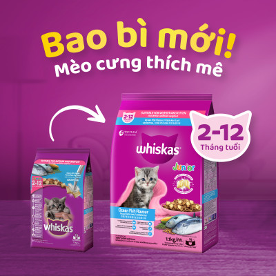 [Bộ 2] Thức Ăn Cho Mèo Con Whiskas Junior 2-12 Months Vị Cá Thu & Cá Biển (Mix Vị) 1.1kg/Túi