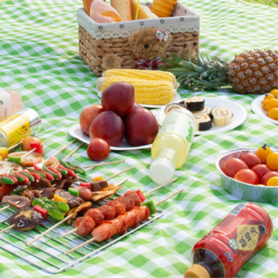 Thảm picnic Suncojia, thảm chống ẩm, kiểu sọc xanh trắng, thảm bãi biển, kích thước 2×1.5 mét