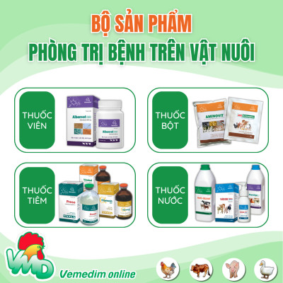 Fenben 10% (Fenbendazole) Đặc trị giun và sán cho chó, mèo, dùng được cho chó, mèo nhỏ và chó, mèo mang thai, Chai 120ml, Sản phẩm Vemedim