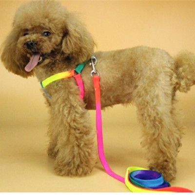 Dây dẫn chó mèo ( Có yếm ) loai 7 sắc Dành cho mấy bé hay Nhoi
