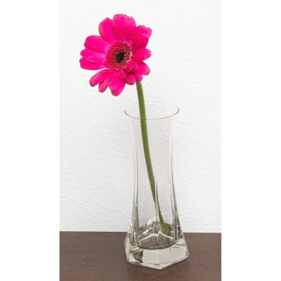 Bình Hoa Thủy Tinh Capitol Bormioli Rocco