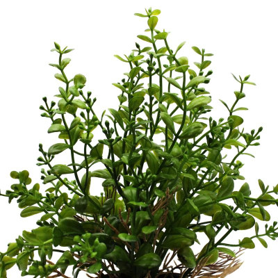Chậu Cây Nhựa Trang Trí - WanLongDa 769-6