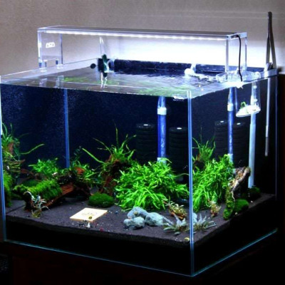 Máy bơm chìm bể cá SOBO hút cặn đáy bơm hồ cá WP 100D WP 200D WP 300D WP 500D WP 600D WP 700D , Siêu êm, bền bỉ, trục sứ, lõi đồng.