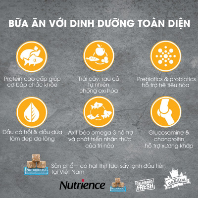 Thức Ăn Hạt Cho Chó Nutrience Subzero Có Hạt Thịt Tươi Bao 500g - Thịt Gà Tây, Cá Hồi, Cá Đại Dương, Rau Củ Và Trái Cây Tự Nhiên