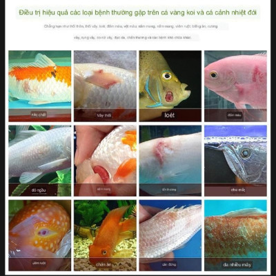 Thuốc trị nấm rất nhậy cho cá cảnh BIO CLEAN 50NL, 100ML