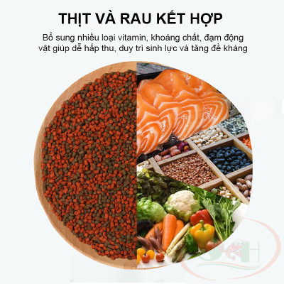 Thức ăn cá biển Tetra Marine XL Granules hạt dinh dưỡng cân bằng cho cá cảnh nước mặn