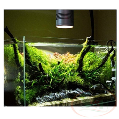 Đèn led lon Week RGB T series T70 / T90 Pro rọi mini rocket led UV bể cá tép thủy sinh