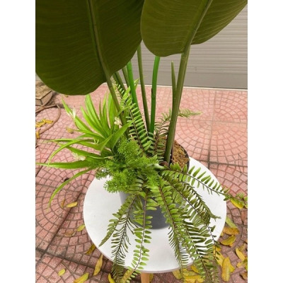 Cây thiên điểu giả - cao 120cm - Cây giả, hoa lụa Decor trang trí nhà cửa