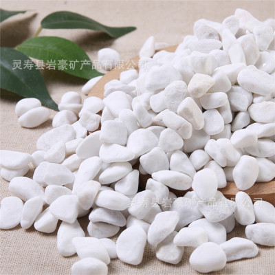 5KG Sỏi trắng, đá trắng cao cấp, trang trí chậu cây, hồ cá, bể cá, tiểu cảnh, hòn non bộ thủy sinh, cây cảnh