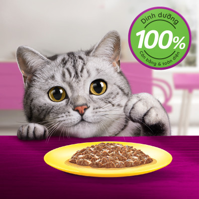 [Combo 12 Gói] Thức Ăn Cho Mèo WHISKAS 1+ years Vị Cá Saba 80g/Gói