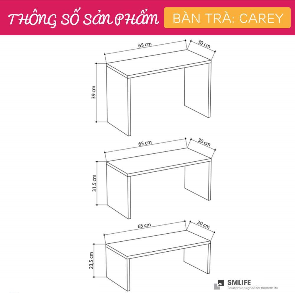 Bàn sofa phòng khách kiểu dáng thanh lịch SMLIFE Carey