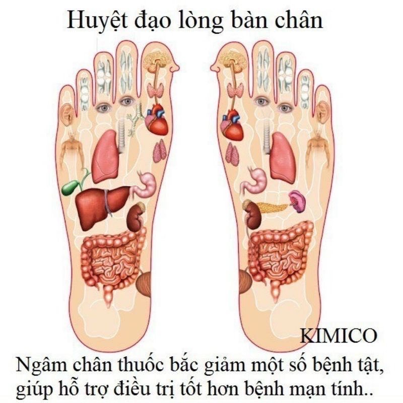 Hộp 50 miếng dán ngải cứu thải độc chân