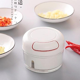 DỤNG CỤ XAY TỎI ỚT CẦM TAY MINI