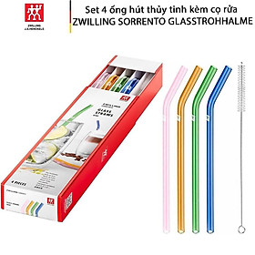 SET ỐNG HÚT THUỶ TINH MÀU SẮC 4 CÁI KÈM CHỔI ZWILLING 23CM Hàng chính hãng
