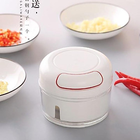  DỤNG CỤ XAY TỎI - ỚT - HÀNH CẦM TAY MINI CỰC KỲ TIỆN DỤNG VỚI MẪU MÃ ĐẸP TÂN TIẾN