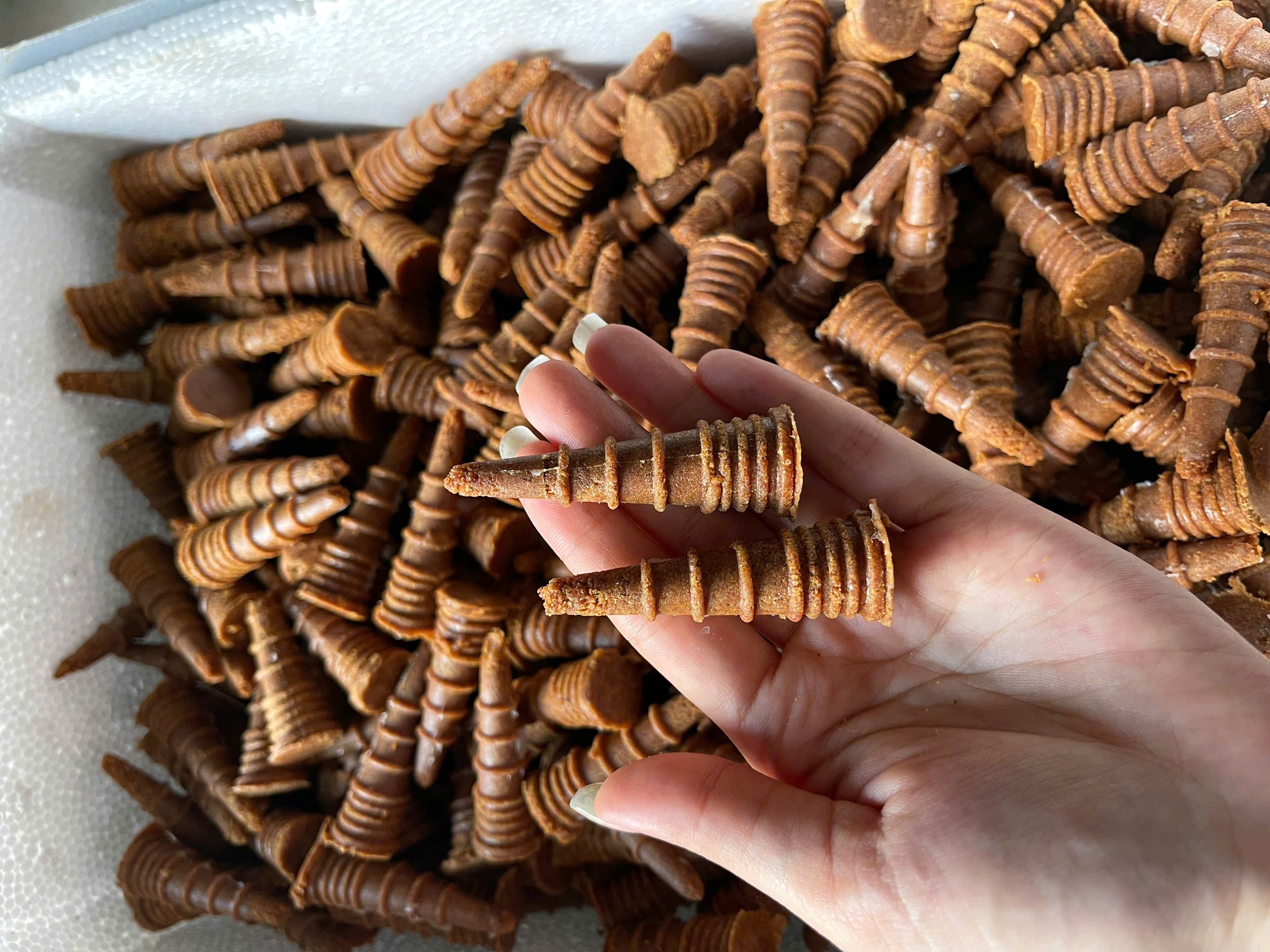 Viên mồi lửa nướng than BBQ