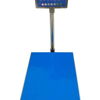 Cân Bàn Điện Tử DIGI DS-166SS