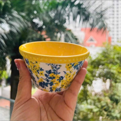 Sét 6 bát cơm The Pioneer Woman Hàng chính hãng