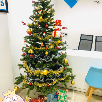 Cây thông noel màu xanh cao 210cm - Tán dày và đẹp, cây thông chắc chắn và dể tháo lắp