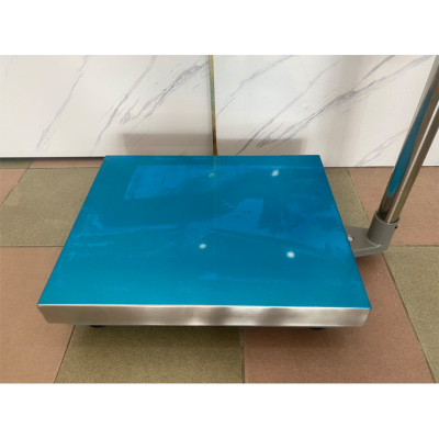 Cân điện tử 300kg A12E