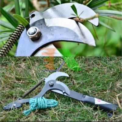 ĐẦU KÉO CẮT TỈA CÀNH CÂY HÁI HOA QUẢ TRÊN CAO ĐA NĂNG