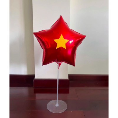  BÓNG BAY IN NGÔI SAO VÀNG - CHÀO MỪNG NGÀY GIẢI PHÓNG 30/4