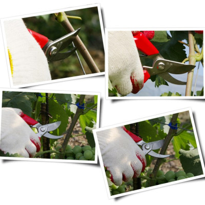 Kéo đa năng Hwashin P-220; P-300; P-800