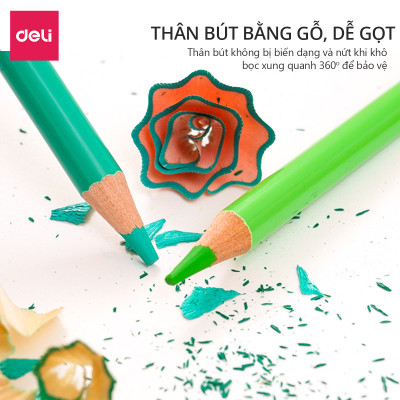 Bút chì màu gốc dầu cao cấp Deli - 6565 / 6566 / 6567