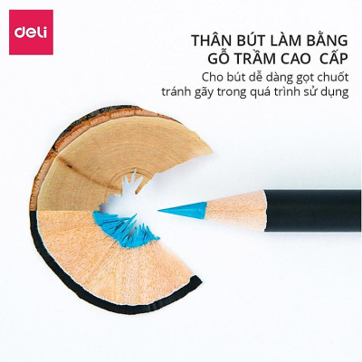 Bút chì màu cao cấp Deli dạng cốc - 24 màu/36 màu/72 màu - 68100/68101/68114