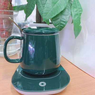 CỐC UỐNG NƯỚC, TRÀ SỨ CAMELIA KÈM ĐẾ HÂM TẶNG KÈM THÌA MẠ VÀNG -  ANTH431