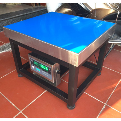 Cân Ghế Điện Tử DI28SS - Mặt Bàn Cân 500x600MM - Đầu Chống Nước