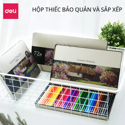 Bút chì màu gốc dầu cao cấp Deli - 6565 / 6566 / 6567
