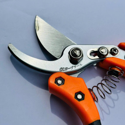 KÉO CẮT TỈA CÀNH KAPUSI – LƯỠI THÉP SK5 – THIẾT KẾ CHẮC CHẮN, CẮT ÊM TAY K8654