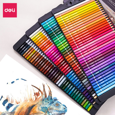 Bút chì màu gốc dầu cao cấp Deli - 6565 / 6566 / 6567