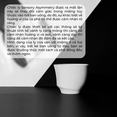 Ly sứ ORIGAMI Sensory Asymmetry Cup 220ml