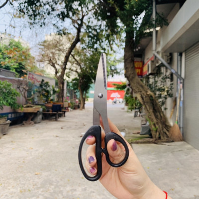 Kéo văn phòng không gỉ  Echo Metal - Made in Japan (Giao màu ngẫu nhiên)