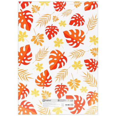 Tập Sinh Viên 4 Ô Ly Ngang 120 Trang 80gsm Truewrite White - Elephant FI618445 (Mẫu Màu Giao Ngẫu Nhiên)