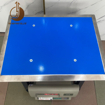 Cân Ghế Điện Tử A12E - Mặt Bàn Cân 300X400MM