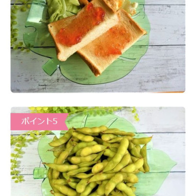 Combo 02 Đĩa nhựa pha lê màu xanh hình chiếc lá Yamada - Nội địa Nhật Bản