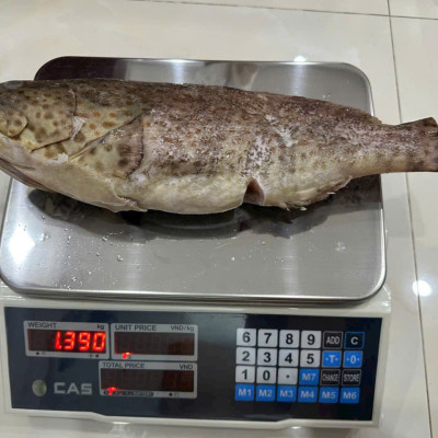 Cân điện tử tính giá đơn giản CAS JPA 30Kg