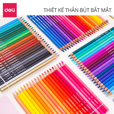 Bút chì màu gốc dầu cao cấp Deli - 6565 / 6566 / 6567