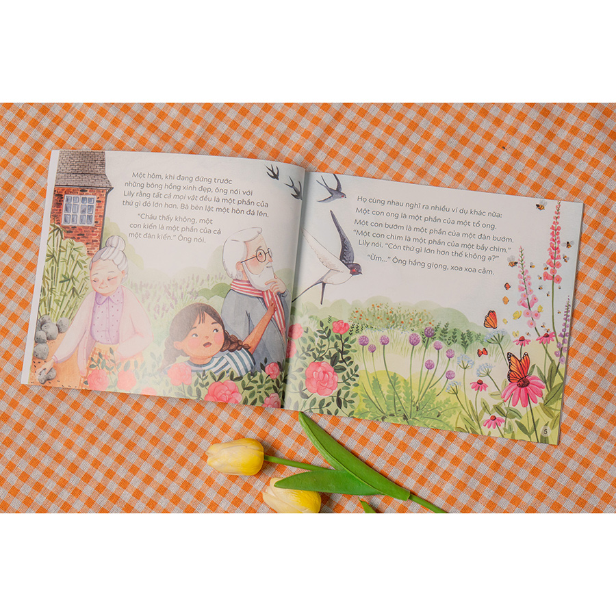 Combo 3 Tập: Chủ đề gia đình: Ông đã đến rồi - Điều lớn lao nhất - Điều con muốn nói