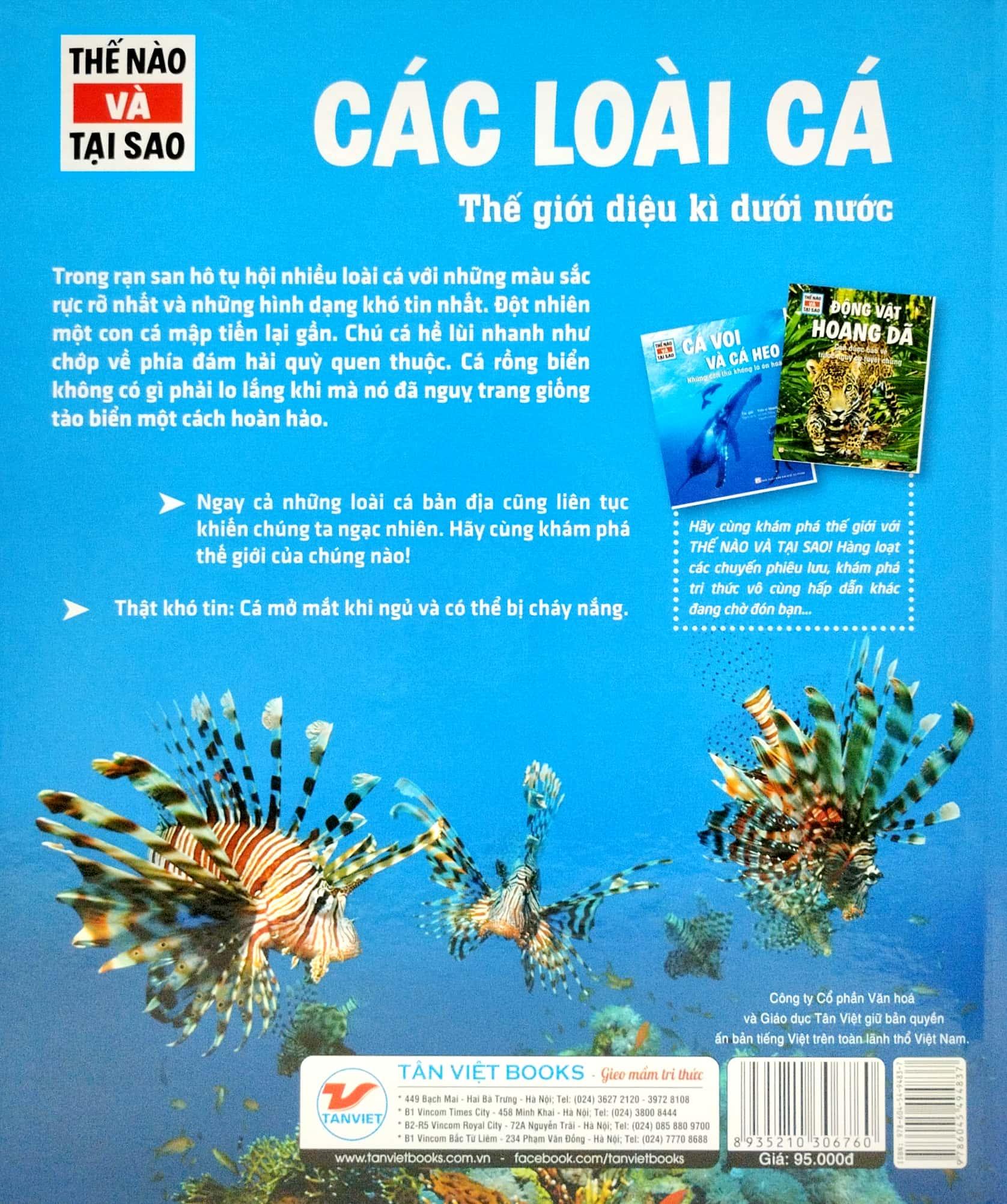 Thế Nào Và Tại Sao - Các Loài Cá - Thế Giới Diệu Kì Dưới Nước - Bìa Cứng (Tái Bản 2023)