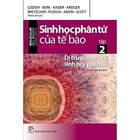 Sách - Sinh Học Phân Tử Của Tế Bào (Tập 2) : Di Truyền Học Và Sinh Học Phân Tử - NXB Trẻ